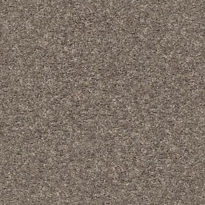 Shaw Floors Value Collections Shake It Up Solid Net Mountain Top 00511_E9857