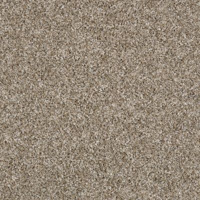 Shaw Floors Value Collections Shake It Up Tweed Net Weathered 00101_E9858
