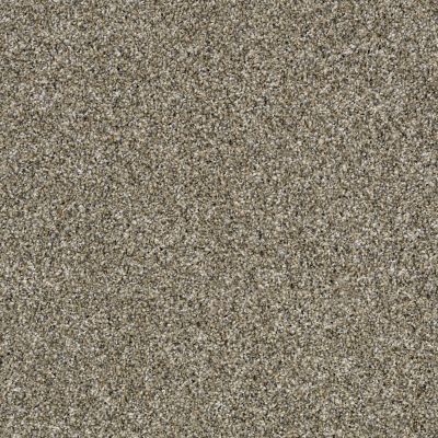 Shaw Floors Value Collections Shake It Up Tweed Net Fox Fur 00102_E9858