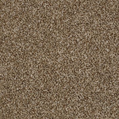 Shaw Floors Value Collections Shake It Up Tweed Net Bits Of Brown 00200_E9858