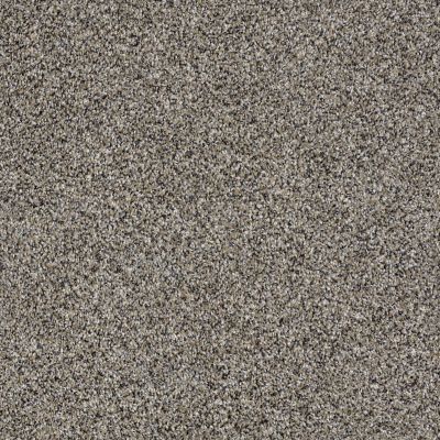 Shaw Floors Value Collections Shake It Up Tweed Net Burnt Ash 00500_E9858