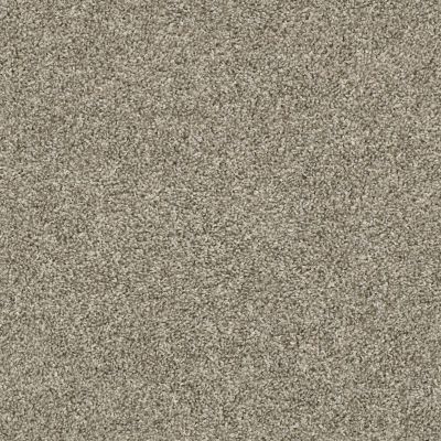 Shaw Floors Value Collections Shake It Up Tonal Net Owl 00121_E9859