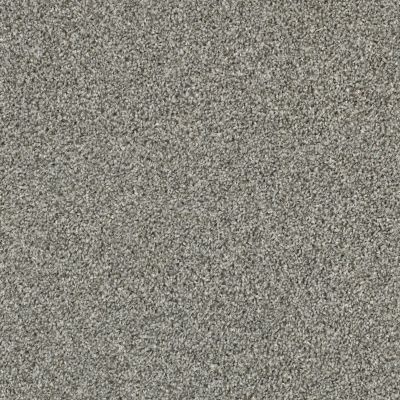 Shaw Floors Value Collections Shake It Up Tonal Net Dolphin 00520_E9859