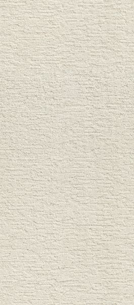 Shaw Floors Simply The Best All In One Milk White 00100_E9873