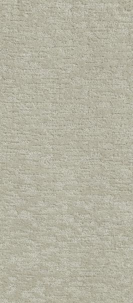 Shaw Floors Foundations All In One Classic Taupe 00105_E9873