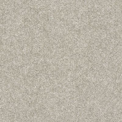 Shaw Floors Value Collections All Over It II Net Oatmeal 00100_E9891