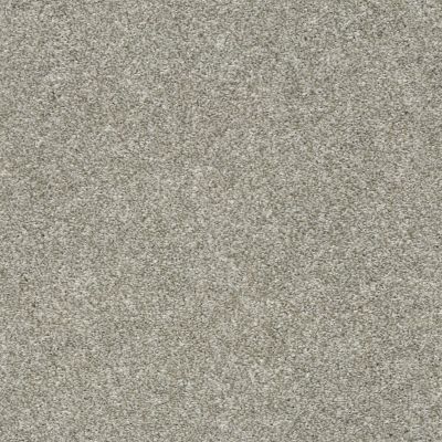 Shaw Floors Simply The Best All Over It II Net London Fog 00501_E9891