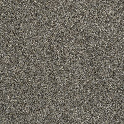 Shaw Floors Simply The Best All Over It II Net Granite Dust 00511_E9891