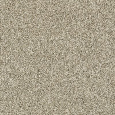 Shaw Floors Simply The Best All Over It II Net Latte 00700_E9891
