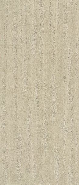 Shaw Floors Simply The Best All The Way Net Almond 00106_E9892