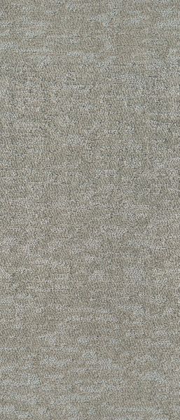 Shaw Floors Simply The Best All In One Net City Loft 00502_E9893