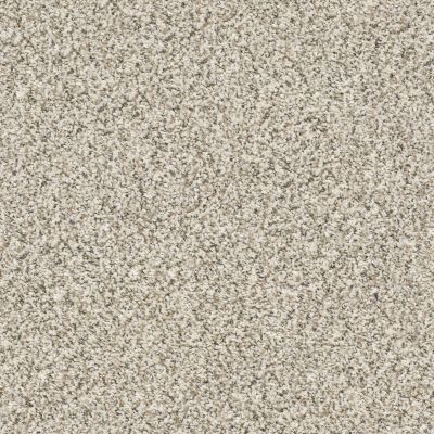 Shaw Floors Simply The Best All Set I Net Goose Feather 00101_E9894