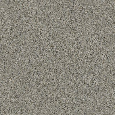 Shaw Floors Simply The Best All Set I Net Rhino 00501_E9894