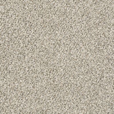Shaw Floors Simply The Best All Set II Net Goose Feather 00101_E9895