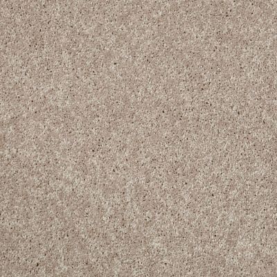 Shaw Floors Value Collections Kickoff Taupe Stone 00110_E9899