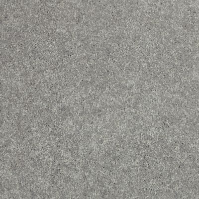 Shaw Floors Value Collections Nantucket Summer 12′ Haze 00531_E9903