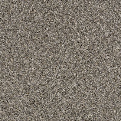 Shaw Floors Value Collections Orchard Picking Goose Feather 00501_E9904
