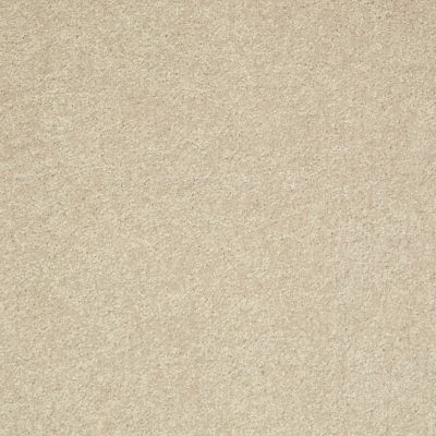 Shaw Floors Value Collections Main Stay 12′ Agate 00102_E9906