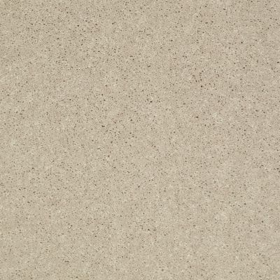 Shaw Floors Value Collections Main Stay 12′ Ecru 00103_E9906