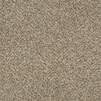 Shaw Floors Value Collections Accents For Sure 12′ Sea Shell 00100_E9908