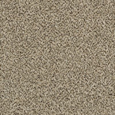 Shaw Floors Value Collections Accents For Sure 12′ Ivory Coast 00101_E9908
