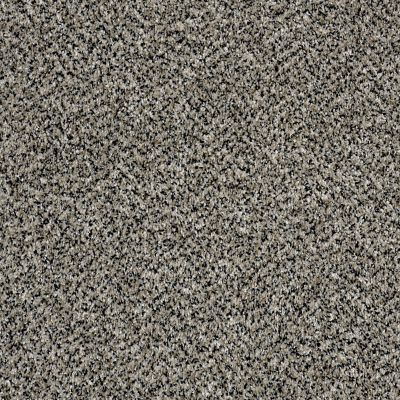 Shaw Floors Value Collections Accents For Sure 12′ Birch Tree 00103_E9908