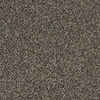 Shaw Floors Value Collections Accents For Sure 12′ Timber Wolf 00104_E9908