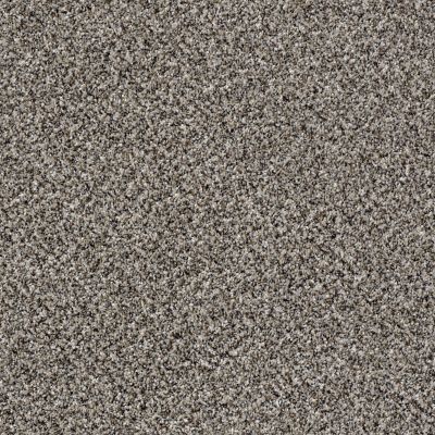 Shaw Floors Value Collections Accents For Sure 12′ Alaskan Air 00500_E9908