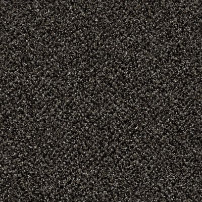 Shaw Floors Value Collections Accents For Sure 12′ Iron Age 00503_E9908