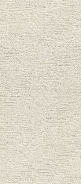 Shaw Floors Value Collections Dunkin’ Milk White 00100_E9911
