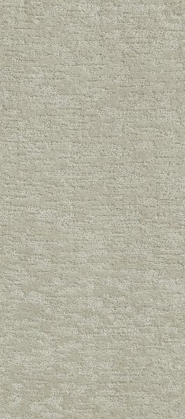 Shaw Floors Value Collections Dunkin’ Classic Taupe 00105_E9911