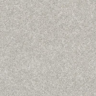 Shaw Floors Value Collections Frappe I Dove 00500_E9912