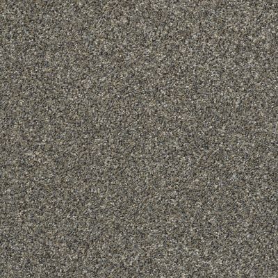 Shaw Floors Value Collections Frappe I Granite Dust 00511_E9912