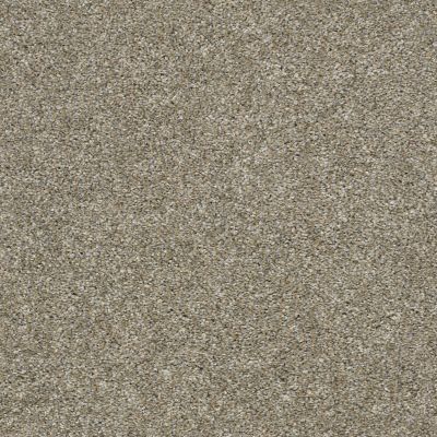 Shaw Floors Value Collections Frappe I Weathered 00710_E9912