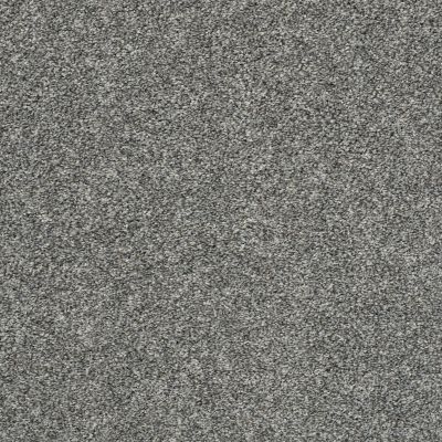 Shaw Floors Value Collections Frappe II Sparrow 00504_E9913
