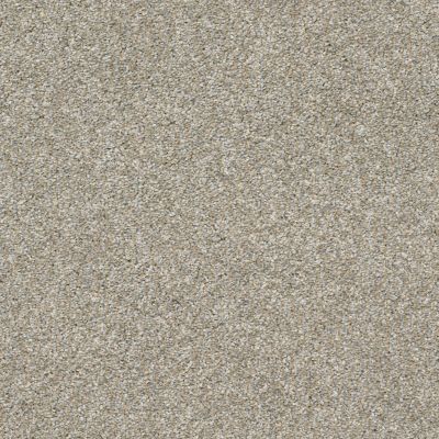Shaw Floors Value Collections Frappe II Misty Harbor 00510_E9913