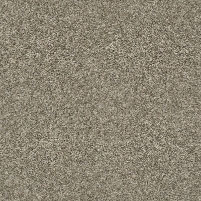 Shaw Floors Value Collections Frappe II Clay 00701_E9913