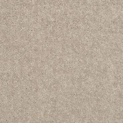 Shaw Floors Value Collections Nantucket Summer 15′ Plaster 55752_E9919