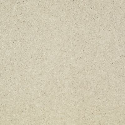 Shaw Floors Value Collections Main Stay 15′ Fresco 00100_E9921