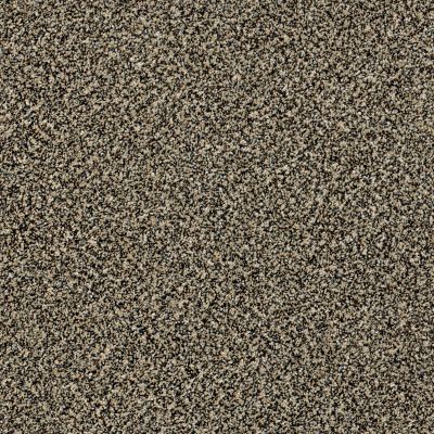 Shaw Floors Value Collections Accents For Sure 15′ Muffin Top 00200_E9923