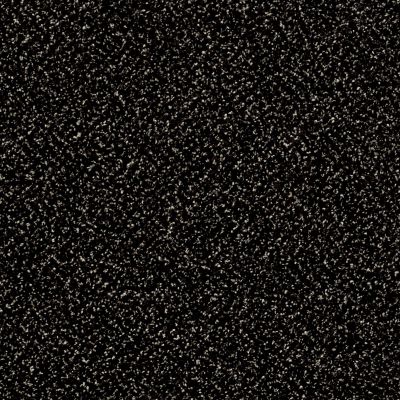 Shaw Floors Value Collections Accents For Sure 15′ Wild Horses 00704_E9923