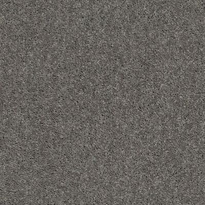 Shaw Floors Cabana Bay Solid Tree Bark 00523_E9954