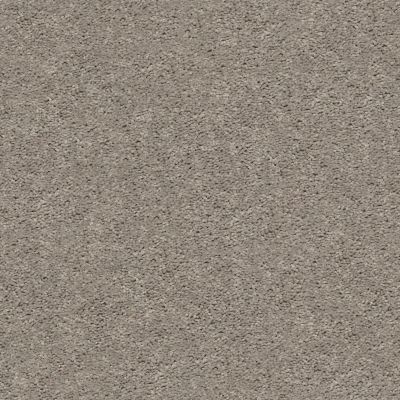 Shaw Floors Cabana Bay Solid Perfect Taupe 00715_E9954