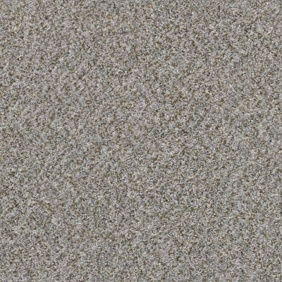 Shaw Floors Cabana Life (b) Granite 00551_E9959