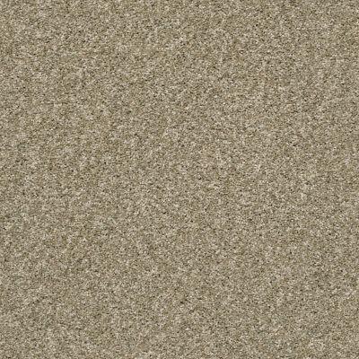 Shaw Floors Simply The Best It’s All Right Natural Taupe 00113_E9966