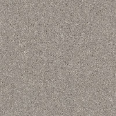 Shaw Floors Simply The Best Momentum II Canopy 103S_E9968
