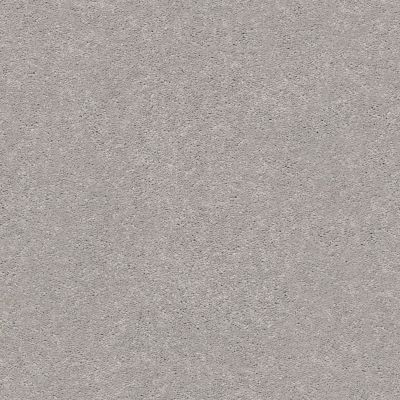Shaw Floors Simply The Best Momentum II Subtle Touch 500S_E9968