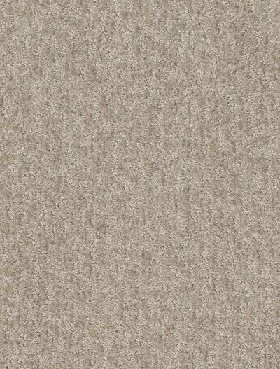 Shaw Floors Bellera Emergence Gold Rush 00200_E9970