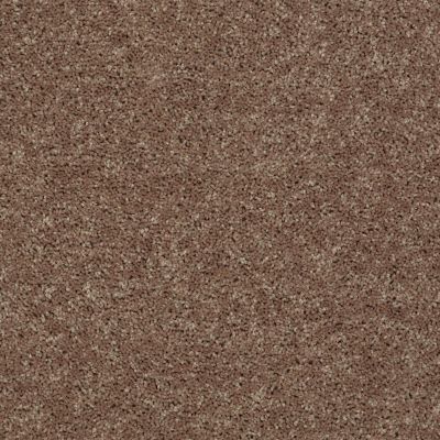 Shaw Floors SFA Drexel Hill I 15 Granola 00701_EA051