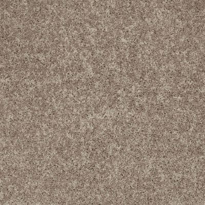Shaw Floors SFA Drexel Hill II 15′ River Slate 00720_EA052